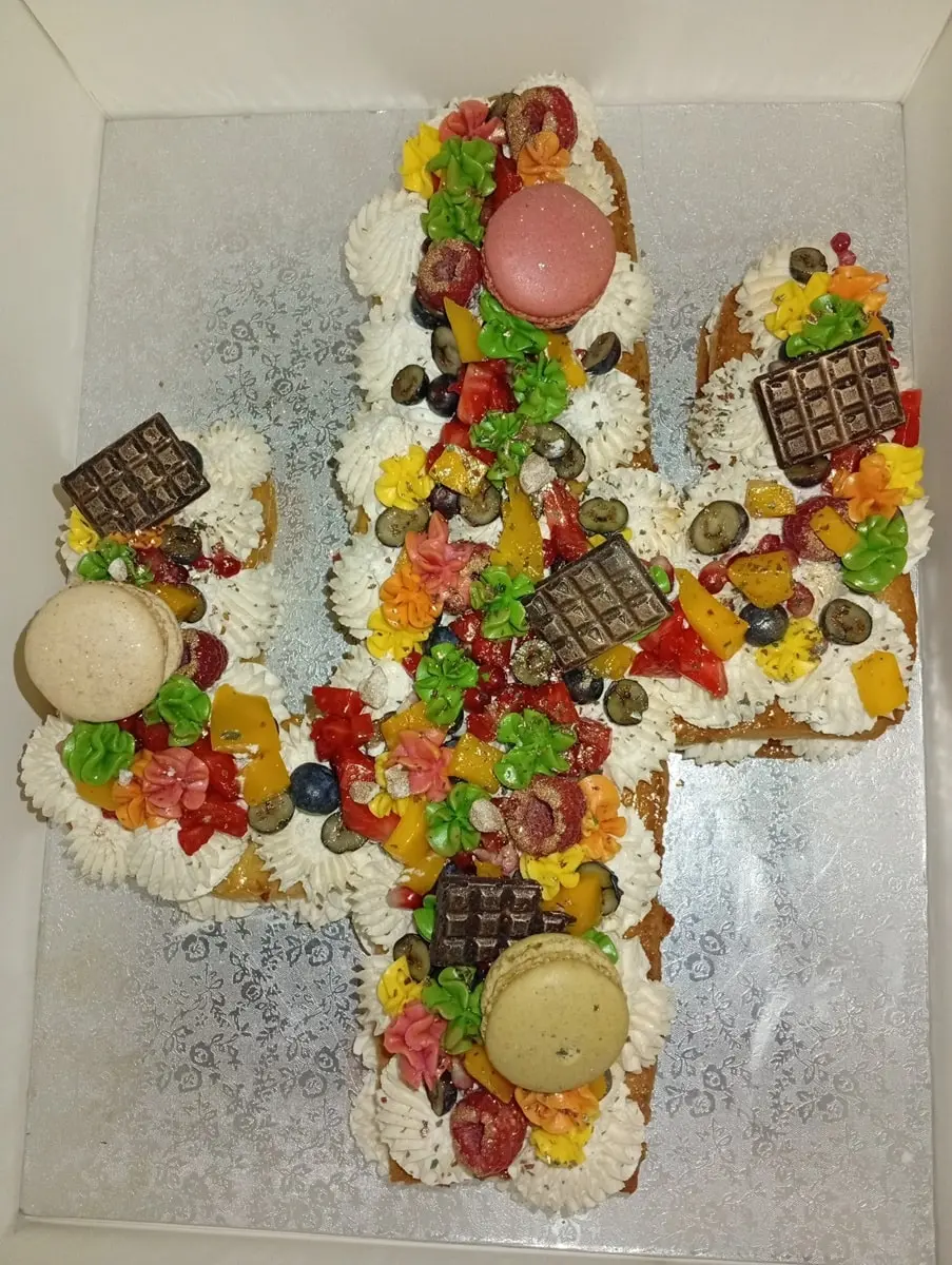 forme_cake_cactus_exotique-min forme_cake_cactus_exotique